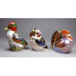 Royal Crown Derby - three paperweights, a Green Winged teal duck, height 12cm, a Tawny Owl, height