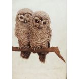 20th Century British School Two Owls Seated On A Branch Lithograph Indistinctly signed lower right