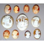 An early 20th century shell cameo of Dionysus - oval and unmounted, 55mm x 45mm, together with