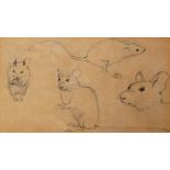 Early 20th century school, Sketches of a mouse, Pencil on paper, Framed and glazed, Picture size