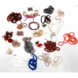 Approximately twenty-five costume jewellery necklaces.