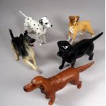 Five Beswick models of dogs - including a Boxer, Dalmatian, Alsatian, Labrador and Red Setter.