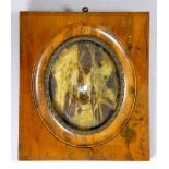 A blonde tortoiseshell and celluloid photograph frame - width 10.7cm, height 13.3cm.