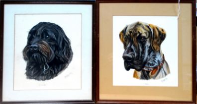 # 20th Century British school Head of a Dog 'Alfie' Watercolour Indistinctly signed and dated '89