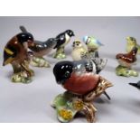 A Beswick model of a Bullfinch - height 6cm, together with ten further Beswick models of birds.