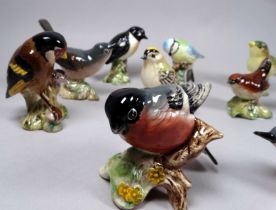 A Beswick model of a Bullfinch - height 6cm, together with ten further Beswick models of birds.