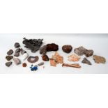 A quantity of shells and geological samples - possibly including coprolite.