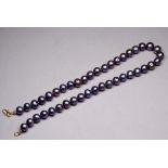 A string of uniform black Tahitian pearls - with a yellow metal S shaped clasp, possibly 9ct.