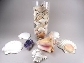 A quantity of decorative shells - together with an amethyst geode.