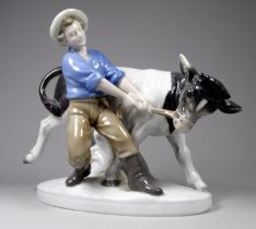 A Carl Scheidig porcelain figure group - young hand with recalcitrant bull, width 22cm.