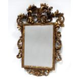 An early 20th century Florentine carved giltwood wall mirror - the rectangular plate within a
