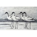 #Peter MERRIN (British 20th Century) Four Avocets Etching Signed in pencil lower right Framed and