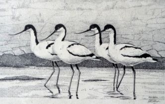 #Peter MERRIN (British 20th Century) Four Avocets Etching Signed in pencil lower right Framed and
