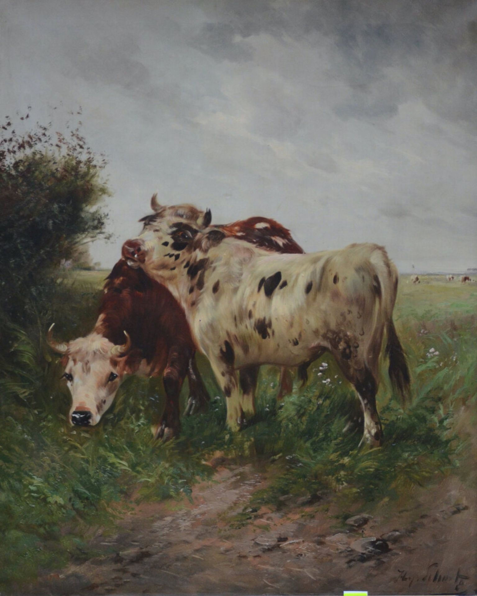 Henri Schouten: painting (o/c) 'cows' (100x80cm)