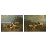 Deforcq: a pair of paintings (o/c) 'sheep' (44x57cm) (*)