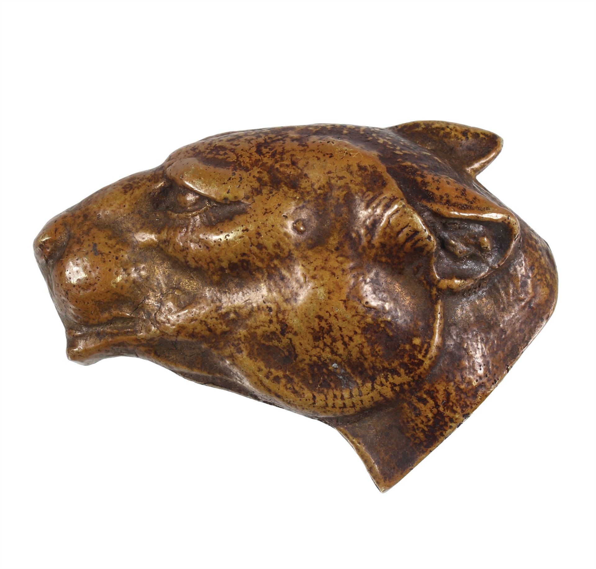 Brosche, WIENER BRONZE um 1900, PIT BULL, Kopf plastisch ausgearbeitet, ca. 55,8 x 40,0 mm