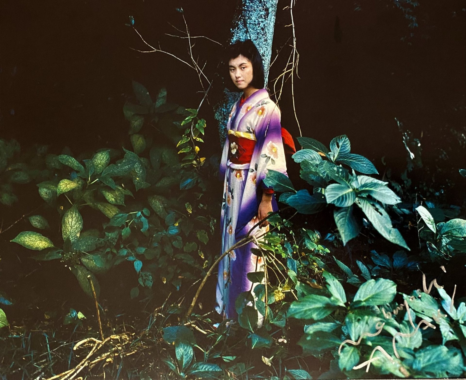 Nobuyoshi ARAKI (Né en 1940) D’Après