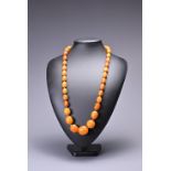 A LARGE AMBER BEADED NECKLACE. Comprising thirty seven graduated ovoid beads, the smallest 1.7cm