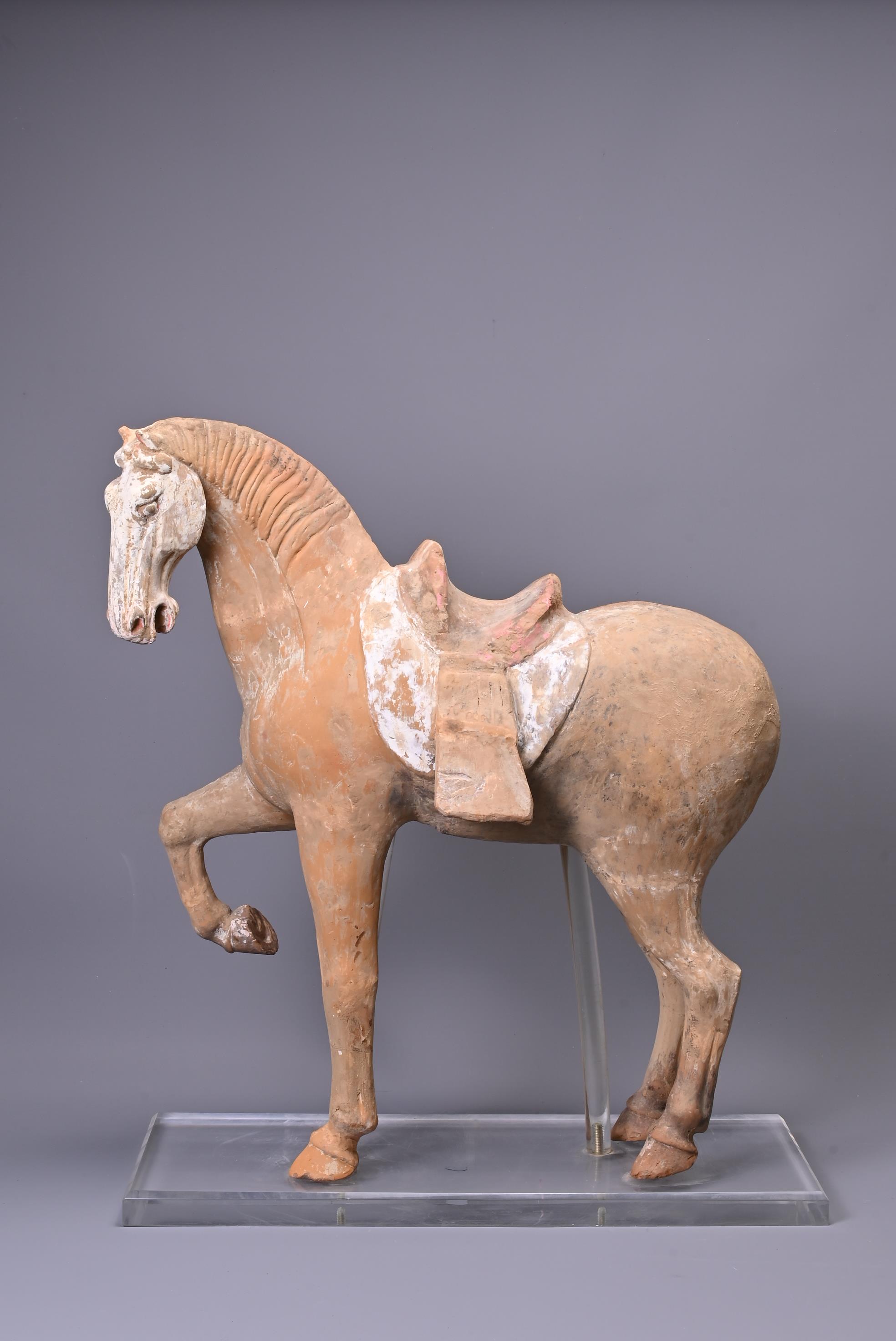 A LARGE CHINESE POTTERY PRANCING HORSE, TANG DYNASTY (AD 618-907). - Image 2 of 7