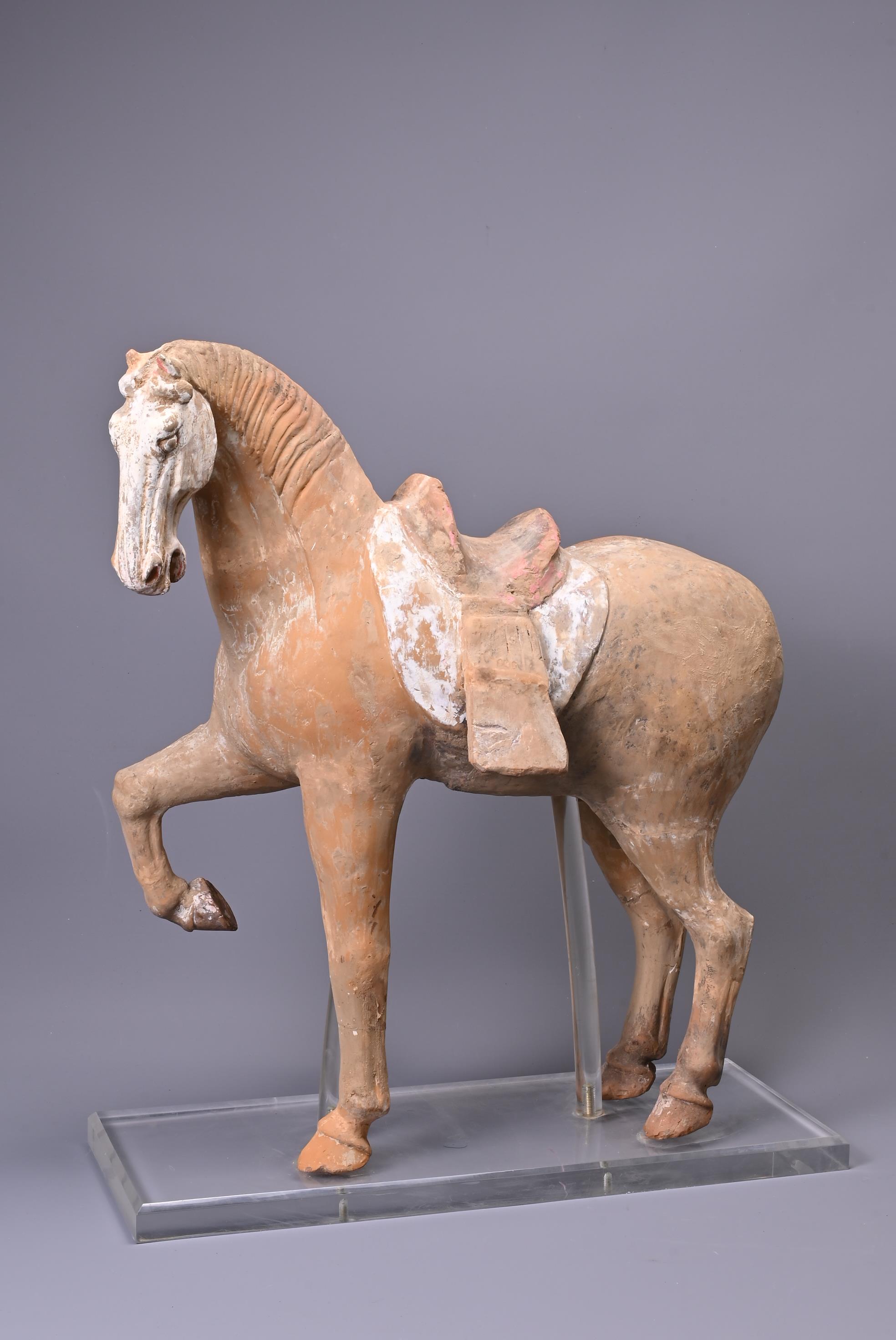A LARGE CHINESE POTTERY PRANCING HORSE, TANG DYNASTY (AD 618-907).