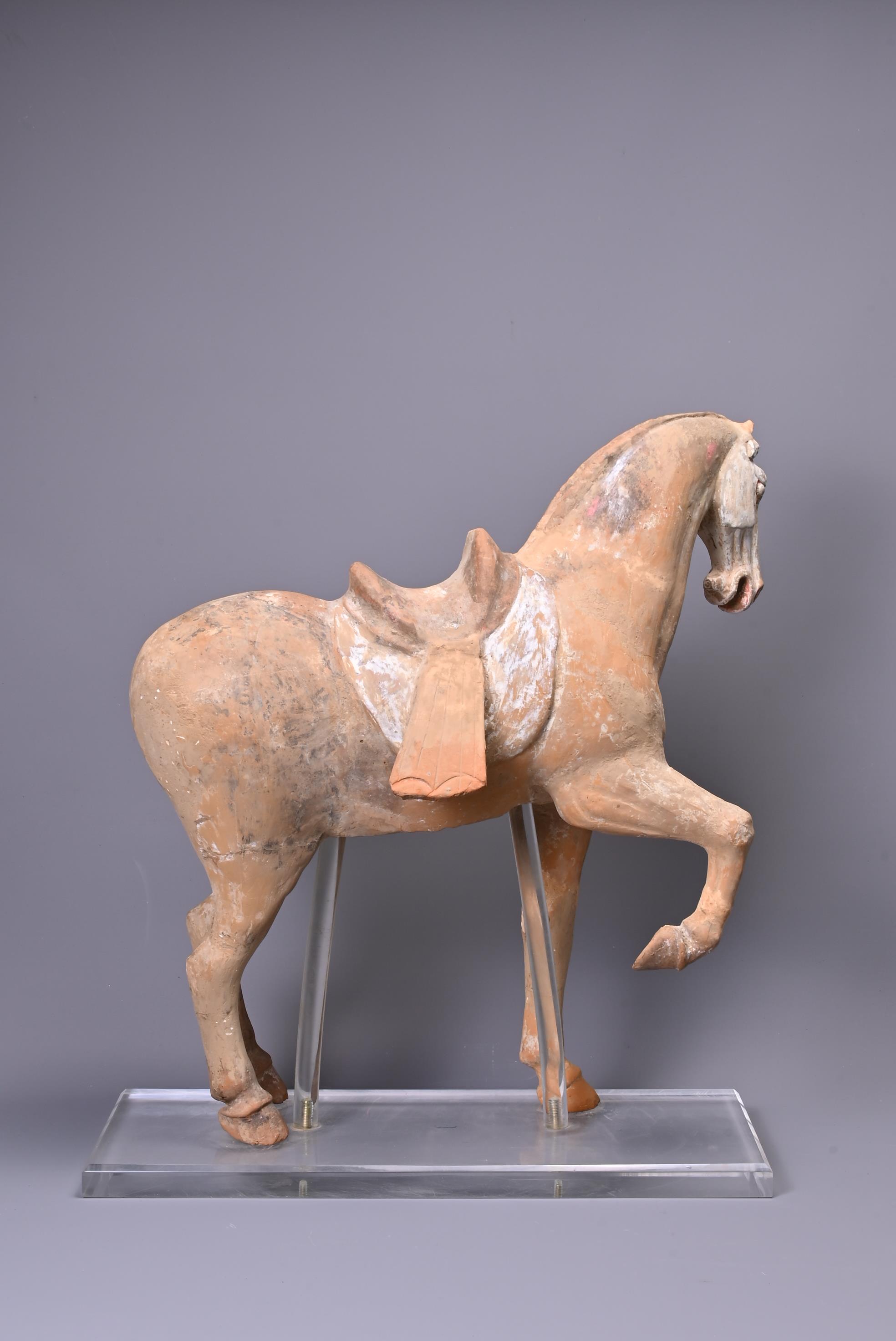 A LARGE CHINESE POTTERY PRANCING HORSE, TANG DYNASTY (AD 618-907). - Image 5 of 7