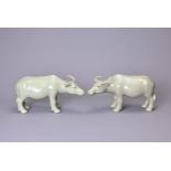 A PAIR OF CHINESE CELADON GLAZED PORCELAIN MODELS OF OX, 20th Century, approx. 21 cm long (2)