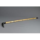 A CHINESE CARVED BONE AND HORN WALKING STICK, EARLY 20TH CENTURY. Eight sectional bone parts incised