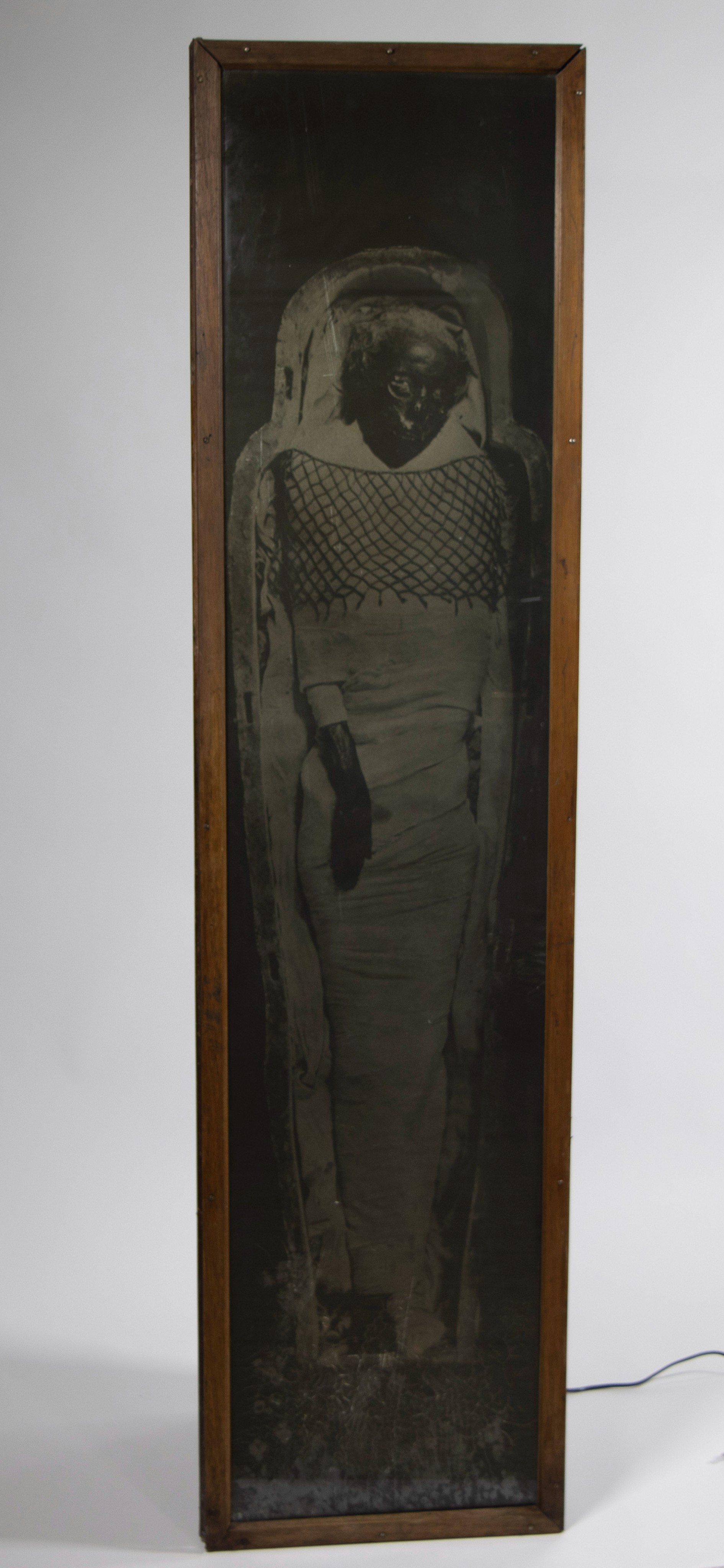 Life-sized mummy (antique print on glass plate in a light box), Taken from Pat & Jon Gresham's “Penn