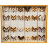 2 wooden cabinets with butterflies