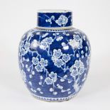 Blue and white Chinese vase with lid