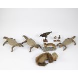 Collection of taxidermy birds, short-tailed monitor lizard and martens