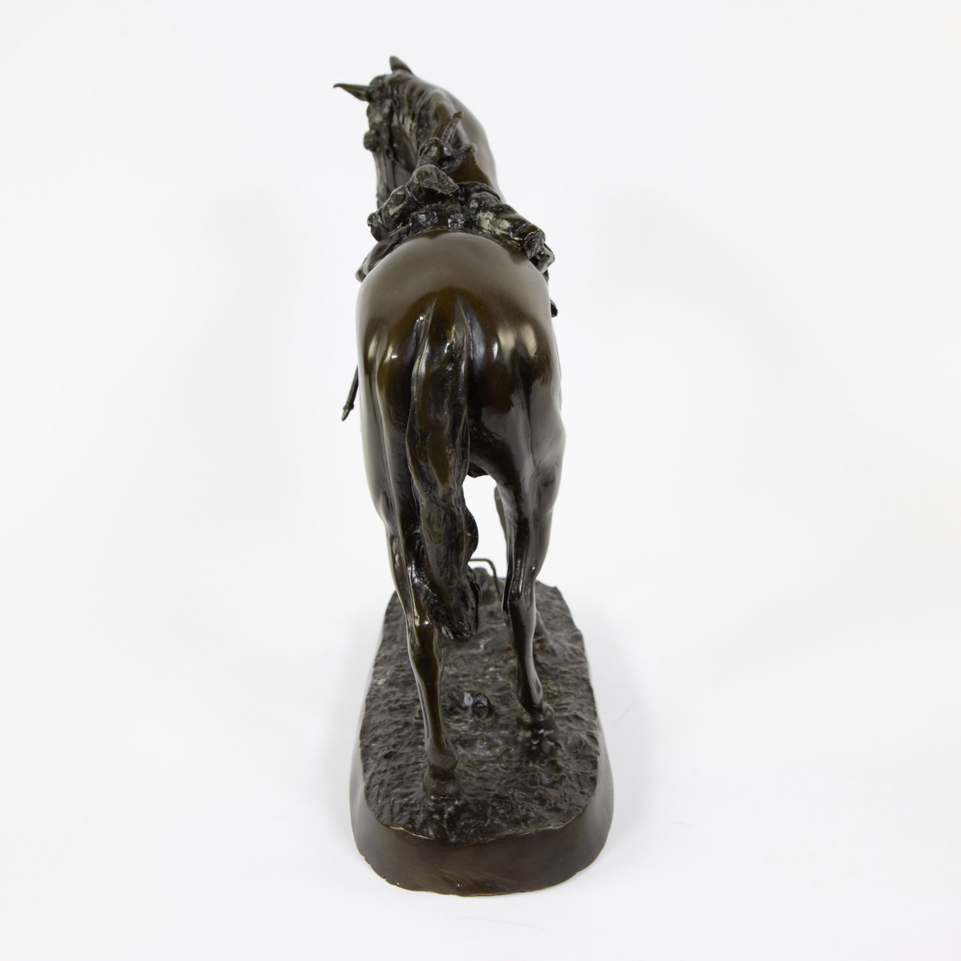 Brown patinated bronze horse attributed Rudolf Kaesbach (1873-1955) - Image 4 of 4