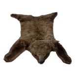 Bear skin of a brown bear