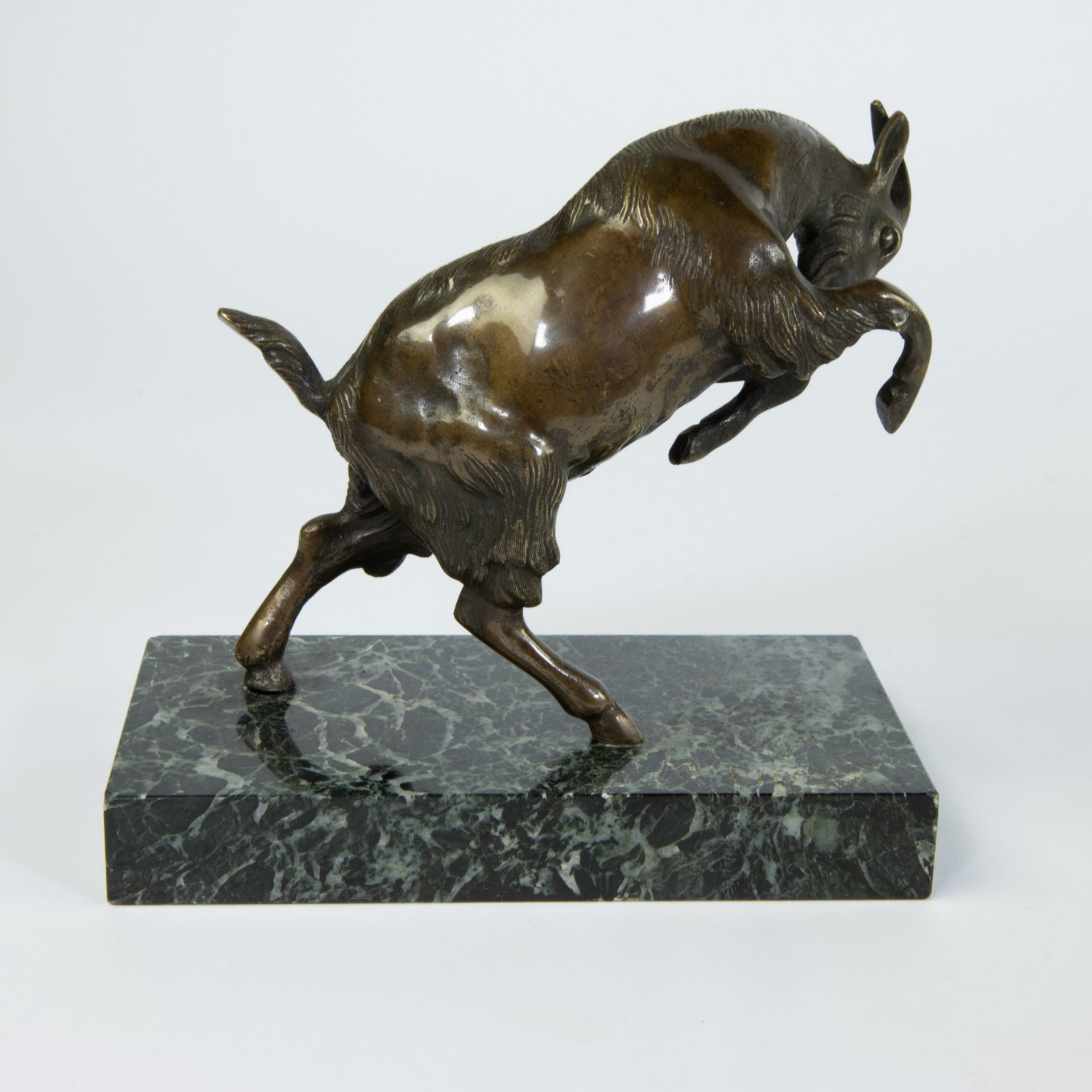 Bronze buck on marble pedestal, signed in the marble - Image 3 of 4
