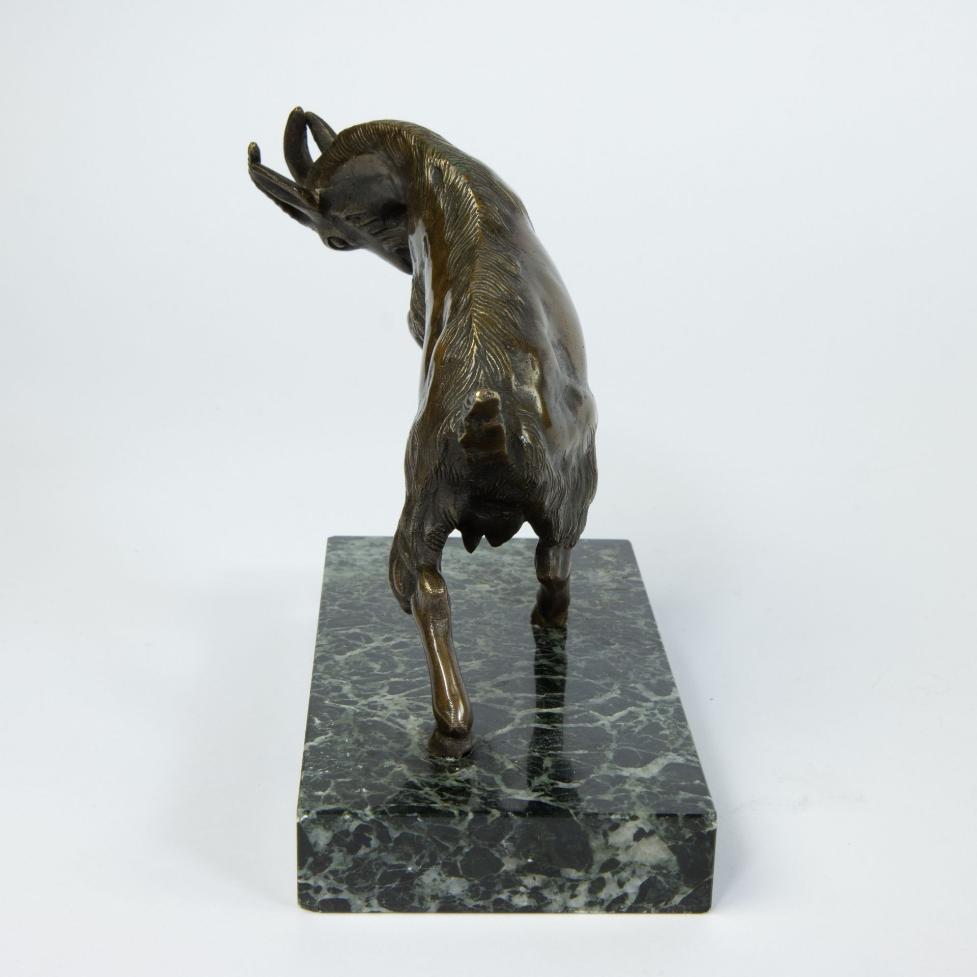Bronze buck on marble pedestal, signed in the marble - Image 4 of 4