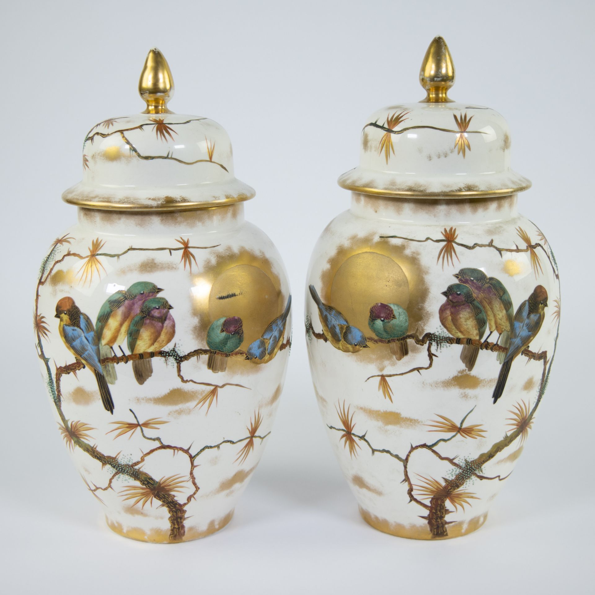 Pair of German lidded vases with fine decorated decoration of birds, marked