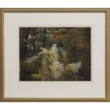 AUTUMN AT ROSA SHAFTOE RESERVE (TUDHOE), A PASTEL BY AVERIL FULLER