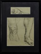 * ALBERTO MORROCCO OBE RSA RSW RP RGI LLD D Univ (SCOTTISH 1919 - 1998), STUDY, LIMB AND FOOT