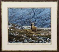 * JEREMY PAUL (BRITISH b. 1954), STAG, FACING FORWARD