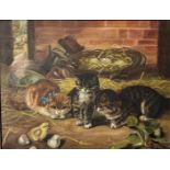 Dutch School, 20th century, Curious kittens, oil on canvas.