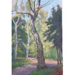 Barend Ferwerda (Amsterdam 1880 - 1958 Heelsum), Forest view,