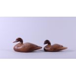 Two decorative ducks made of exclusive types of wood from the Arboretum in Kalmthout,