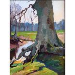 Barend Ferwerda (Amsterdam 1880 - 1958 Heelsum), Beech tree at a seepage stream in Oosterbeek,