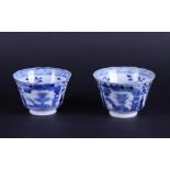 A set of two porcelain cups with floral decor in divisions, marked Kangxi. China, 19th century.