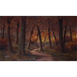 Dutch School, ca. 1930, Beech forest in autumn,