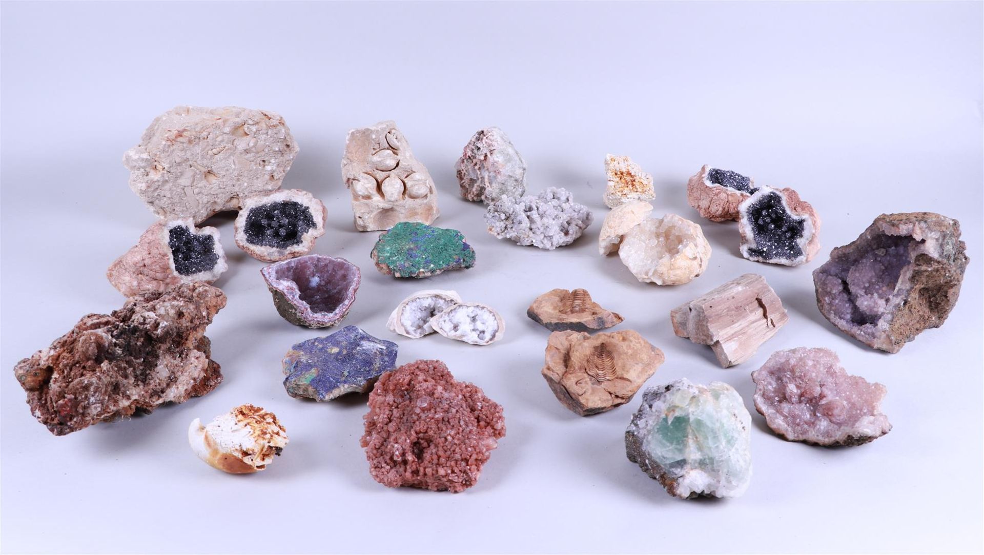 A large lot of minerals and fossils.