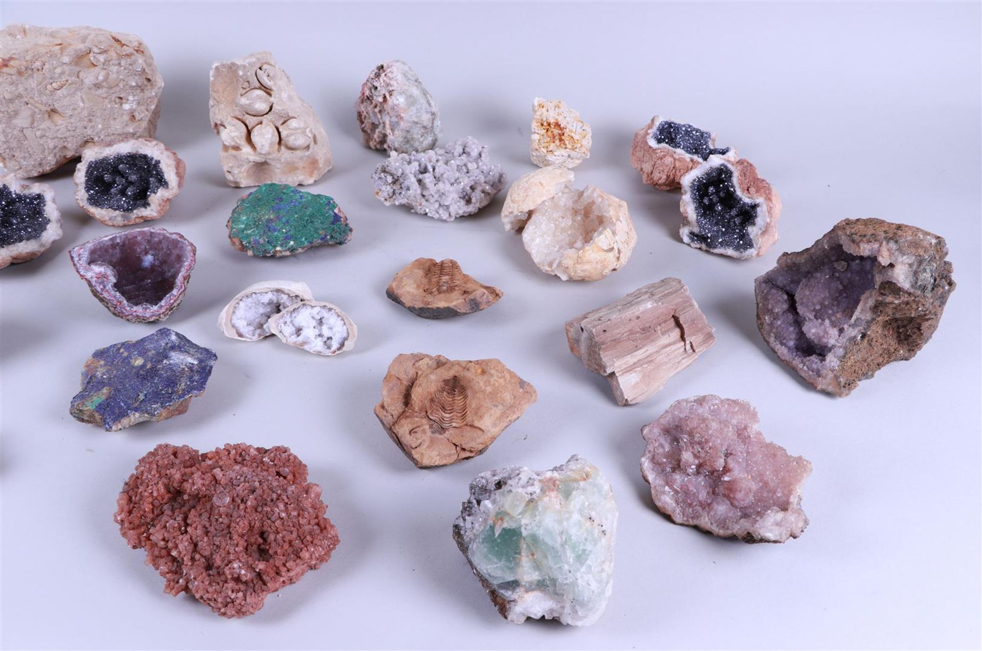 A large lot of minerals and fossils. - Image 2 of 4