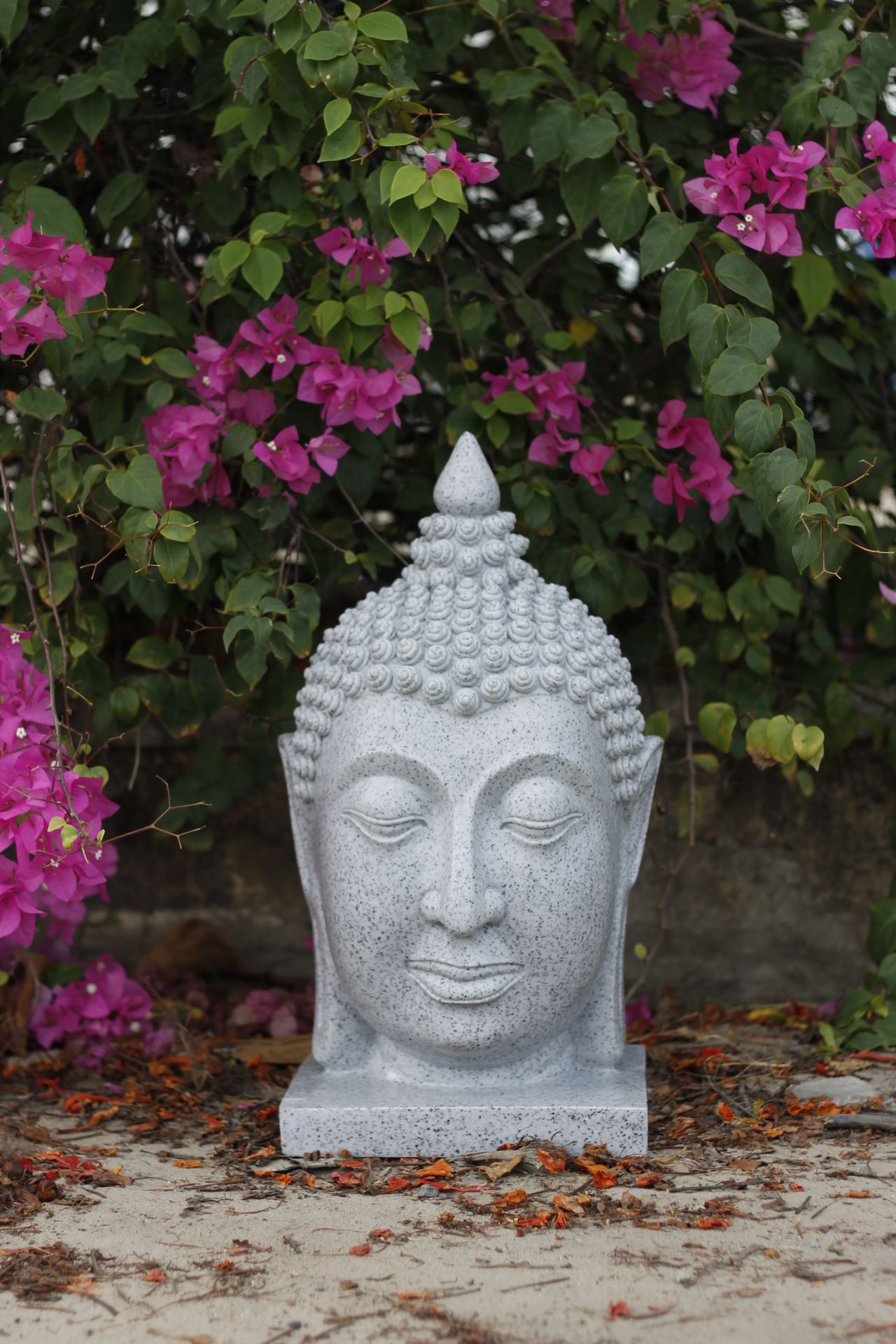 Divine Dinova Thai Buddha Head L statue *PLUS VAT*
