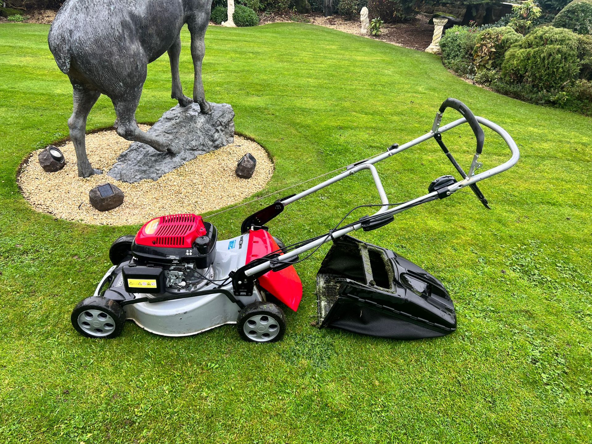 Mountfield SP465 Self Propelled Lawn Mower With Grass Collector *PLUS VAT* - Image 5 of 10