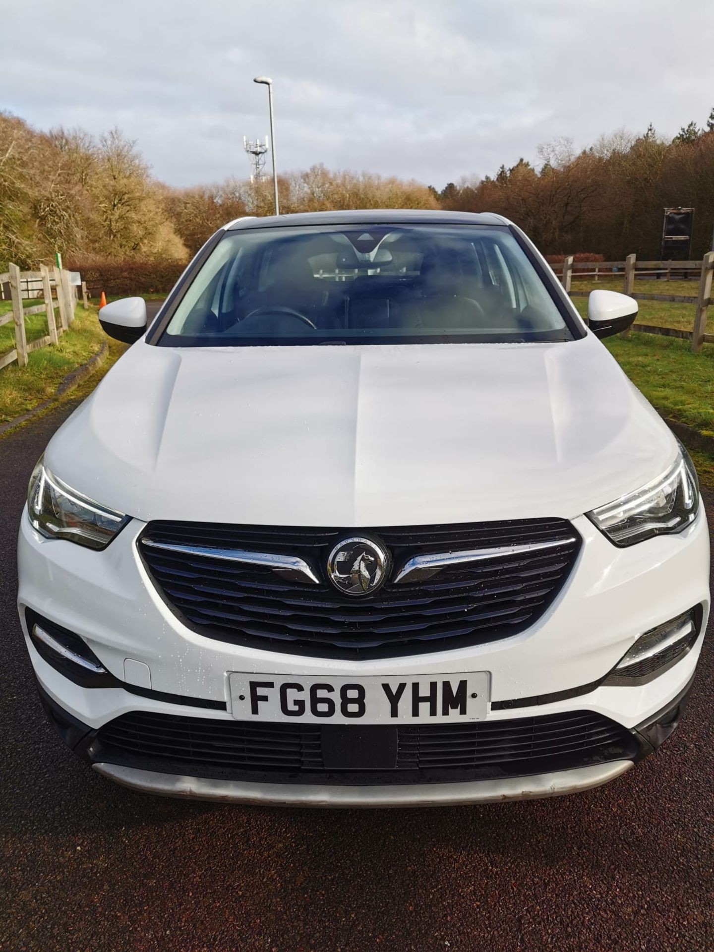 2018/68 REG VAUXHALL GRANDLAND X ELITE NAV T D SS 1.5 DIESEL, SHOWING 1 FORMER KEEPER *NO VAT* - Image 3 of 36